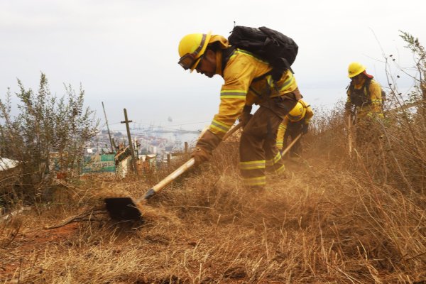 Incendios forestales: Senapred informó de 22 siniestros activos a nivel país