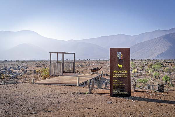 Primer Tribunal Ambiental ordena al Comité de Ministros volver a votar Dominga por incumplir sentencia anterior