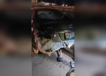 Puno: cuatro muertos y más de heridos en choque múltiple