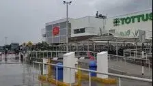 Artículo de imagen