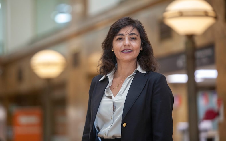 Pinilla de Verónica