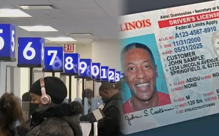 Real ID: ¿Dónde y cómo resolver tus dudas sobre el trámite de la identificación? | Estados Unidos | rppusa