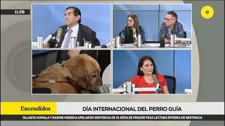 Cuando el camino no es fácil: las barreras sociales que enfrentan los usuarios de perros guía