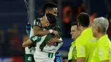 Artículo de imagen