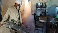 Artículo de imagen