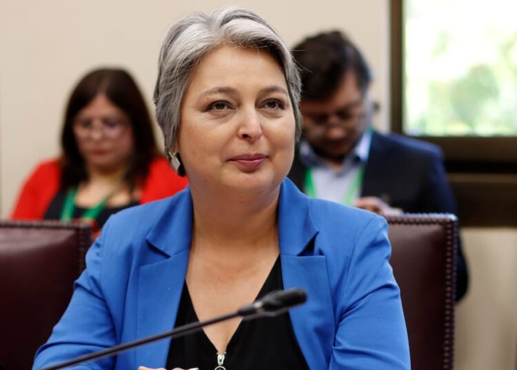 Al igual que Kast y Kaiser: Jara plantea la destitución de funcionarios públicos involucrados en licencias irregulares