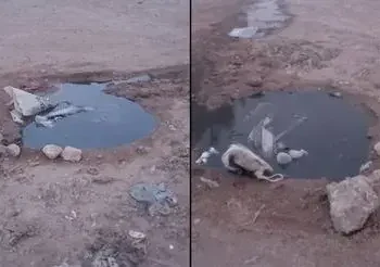 Chiclayo: vecinos de Villamar reportan colapso de buzón desde hace cuatro días | Lambayeque