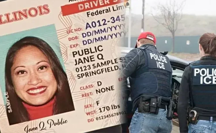 Deportaciones en Illinois: Conoce si portar una licencia de conducir sirve para verificar el estatus legal de un inmigrante | ICE Estados Unidos | RPPUSA