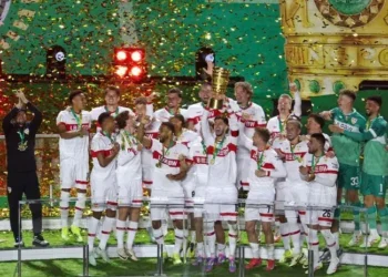 El Stuttgart respondió a su favoritismo: pasó por encima al Arminia y se proclamó campeón de la Copa de Alemania [FOTOS]