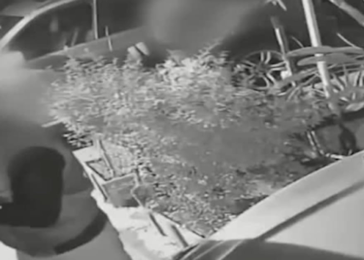 El momento en que un hombre frustra a tiros un asalto en su domicilio en Maipú