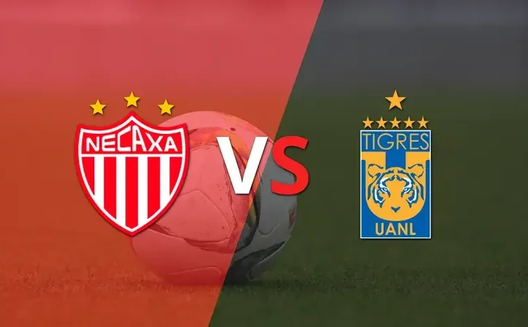 Liga MX: Necaxa se enfrentará ante Tigres por la llave 2