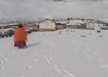 Moquegua: más de 30 familias afectadas por la intensa nevada que “cubrió” al Anexo de Pallatea