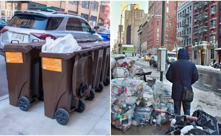 Nueva York impone multas de hasta 300 dólares por no separar residuos orgánicos para compostaje: Lo que deben saber los residentes | Estados Unidos | RPPUSA