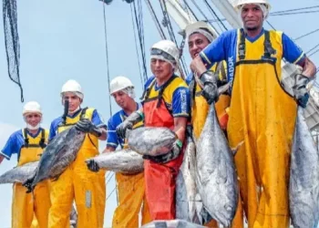 PBI pesquero creció 29.1 % en marzo de 2025 y acumuló tres meses consecutivos de avance