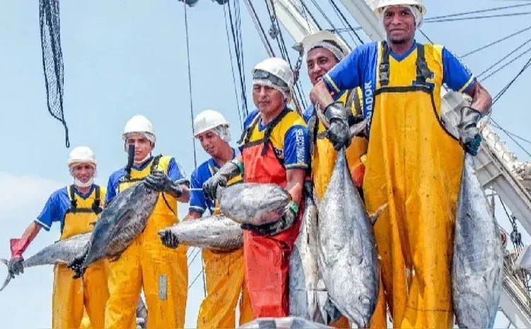 PBI pesquero creció 29.1 % en marzo de 2025 y acumuló tres meses consecutivos de avance