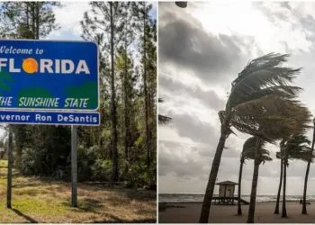USA | Incendios forestales y sequía extrema golpean a Florida: Más de 100 focos activos | Estados Unidos | RPPUSA