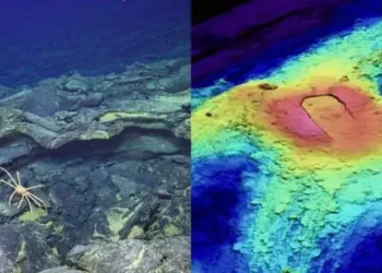 Volcán submarino frente a la costa oeste de EE.UU. muestra actividad inusual: ¿Hay riesgo de erupción? | Estados Unidos | RPPUSA