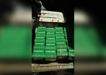 hallan explosivos dentro de siete cajas con tortas de canela