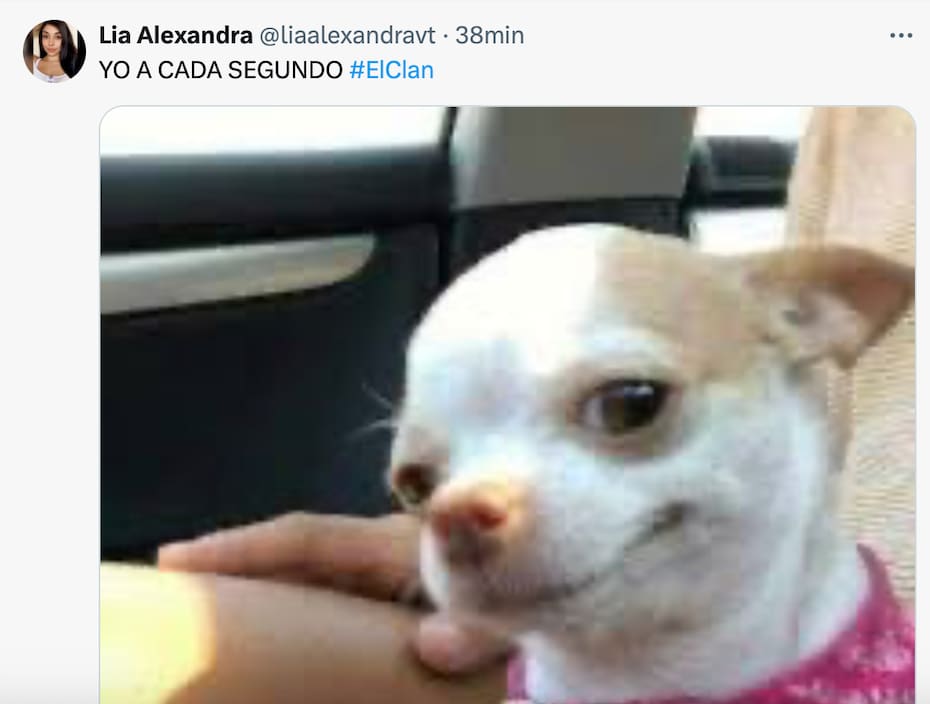 Las mejores reacciones del programa Andrade Pangal.