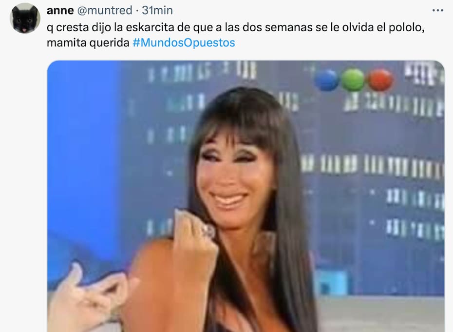 Los mejores memes.