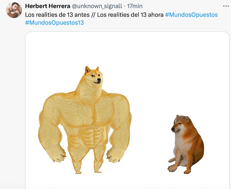 Los mejores memes.