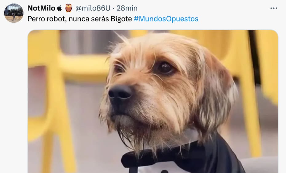 Los mejores memes.