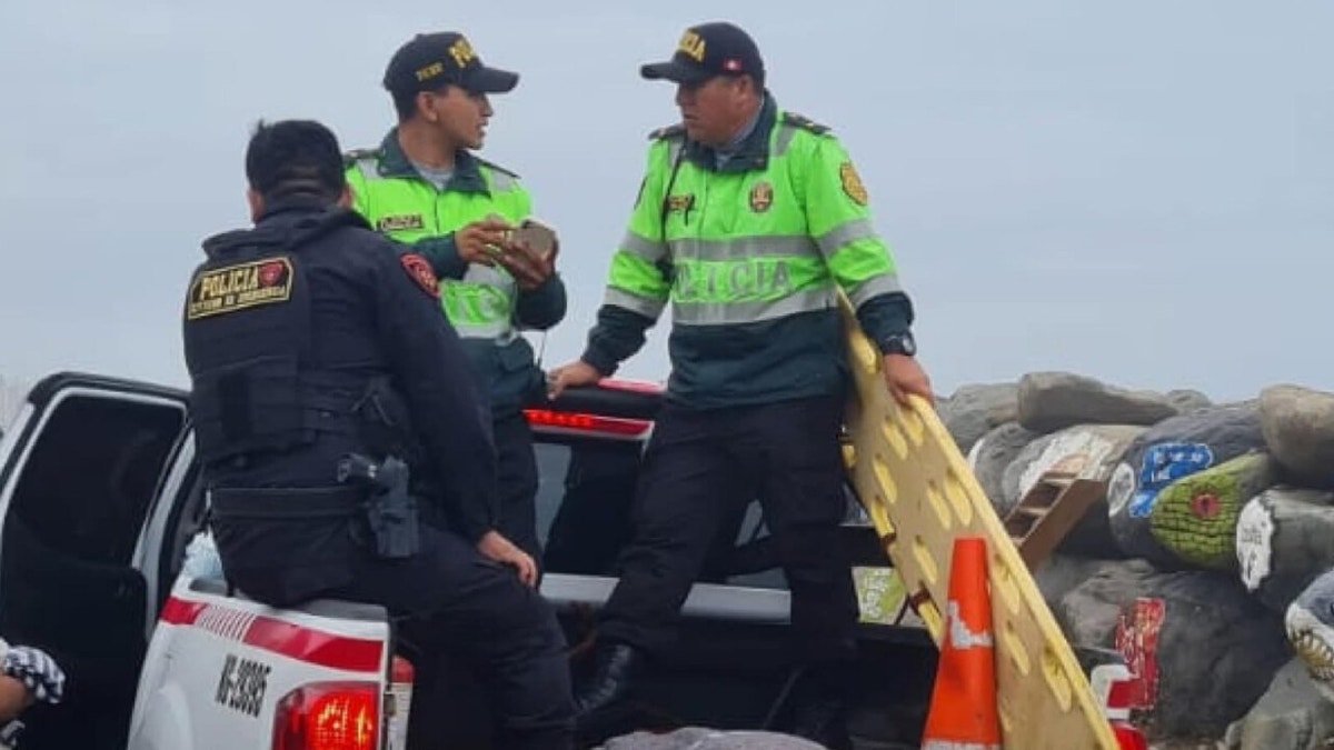 Artículo de imagen