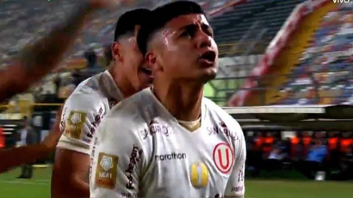 Artículo de imagen