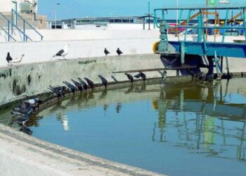 los millonarios proyectos que se vienen en ambos países – Tendencias