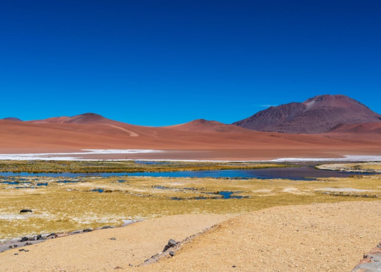 Tendrá inversión de US$3.600 millones – Tendencias