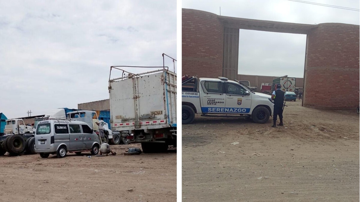 Lambayeque: los delincuentes envenenan a dos perros para robar en un taller mecánico