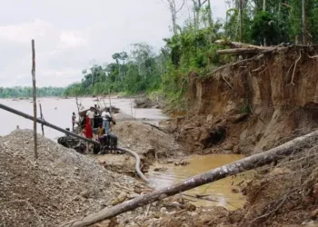 CAL advirtió que la ampliación del Reinfo favorece la expansión de la criminalidad vinculada a la minería informal