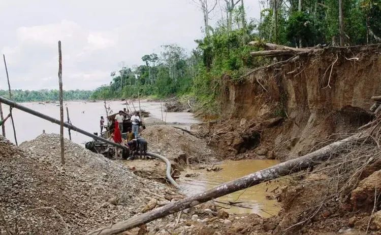 CAL advirtió que la ampliación del Reinfo favorece la expansión de la criminalidad vinculada a la minería informal