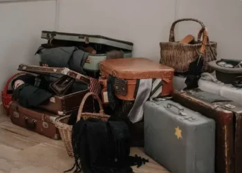 Detienen a pasajero con 16 serpientes vivas en aeropuerto de India rppusa