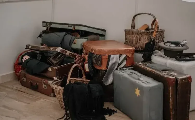 Detienen a pasajero con 16 serpientes vivas en aeropuerto de India rppusa