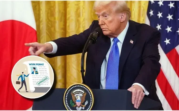 EEUU | Donald Trump busca eliminar permisos laborales a inmigrantes