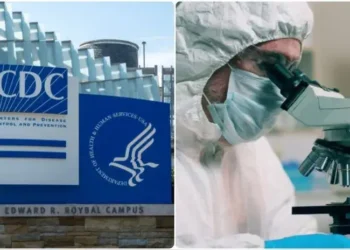 EE.UU.: Retiran millones de huevos en nueve estados tras brote de salmonela