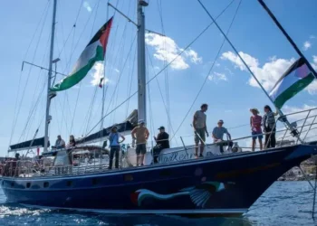 Flotilla de la Libertad, en el que iba Greta Thunberg, contacta países de activistas detenidos y difunde videomensajes