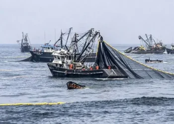 Gremios empresariales rechazan firma del Tratado de Alta Mar por “atentar contra soberanía nacional”