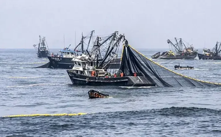 Gremios empresariales rechazan firma del Tratado de Alta Mar por “atentar contra soberanía nacional”