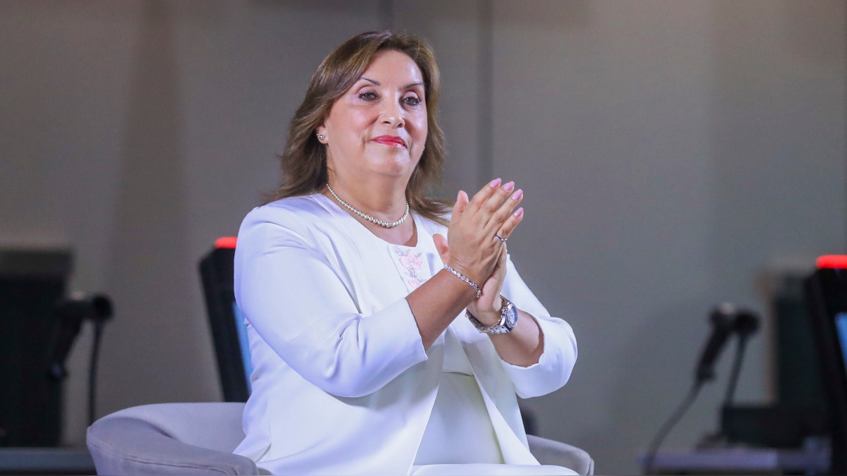 Artículo de imagen