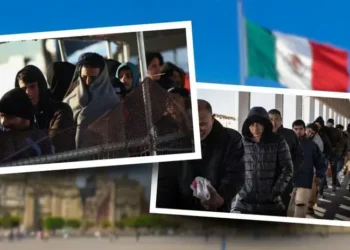 “Tarjeta Verde” USA: Conoce la guía gratuita que orienta el regreso forzado a México desde Estados Unidos