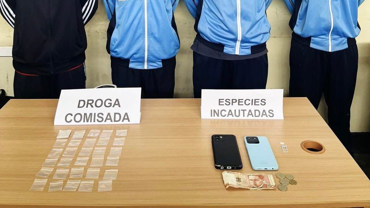 Artículo de imagen