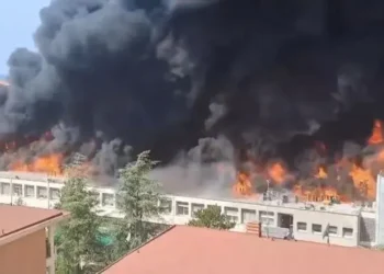 Un terrible incendio obliga a desalojar la universidad italiana de la Tuscia por gases tóxicos [VIDEO]