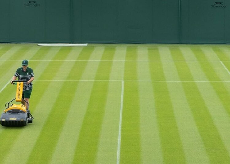 esta es la razón – Tendencias