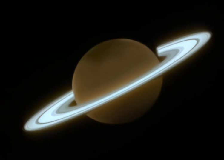 esta es la teoría sobre su origen – Tendencias