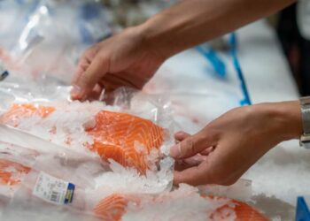 Minsal emite alerta alimentaria por presencia de Listeria en salmón ahumado de la marca South Wind
