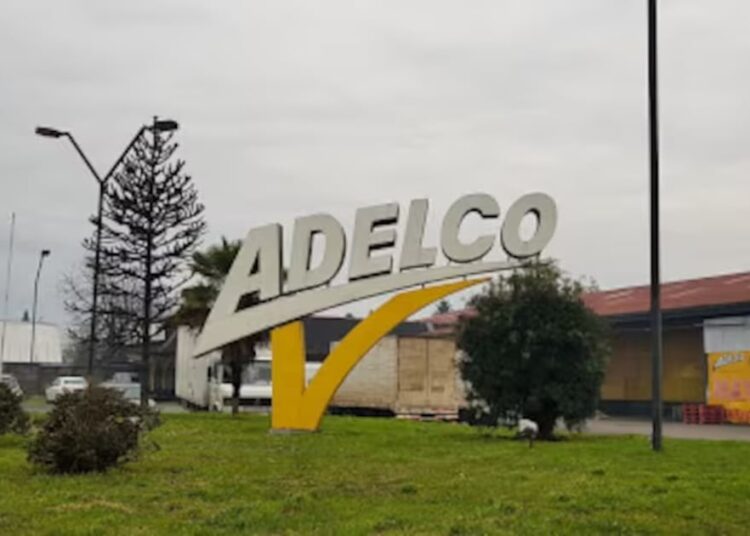 Las cifras de Adelco en medio de negociación para evitar su quiebra