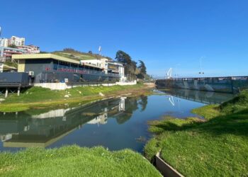 Declaran al Estero de Reñaca como humedal urbano