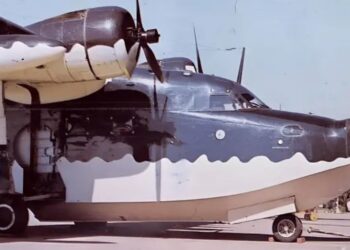 FACH señala que restos de avión hallados en Parque Nacional Morro Moreno corresponderían a nave accidentada en 1977